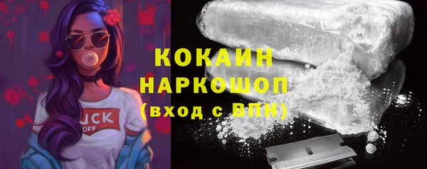 дмт Дмитров