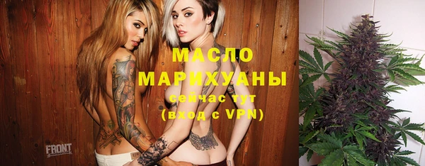 дмт Дмитров