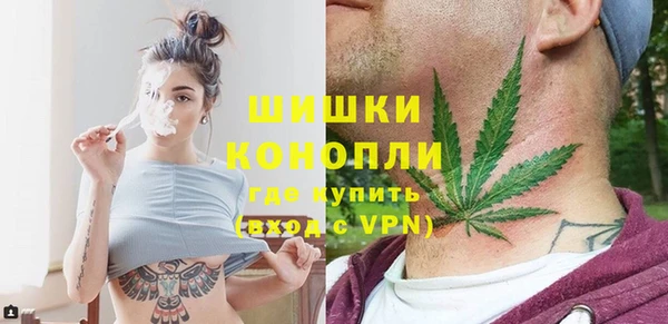 дмт Дмитров
