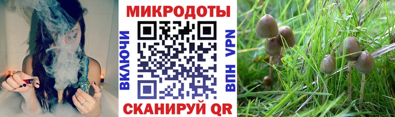 Галлюциногенные грибы ЛСД  что такое наркотик  Пятигорск 